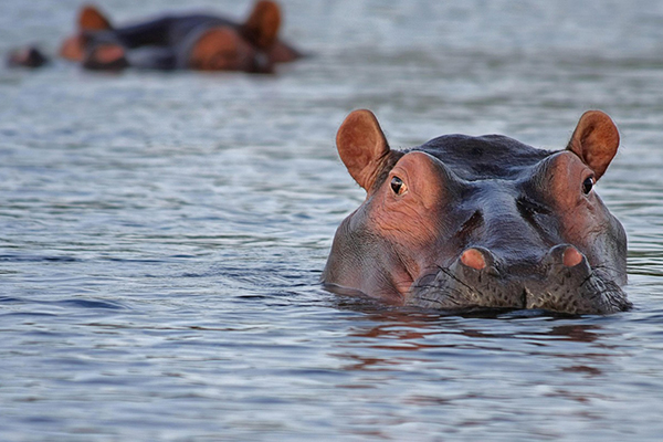 Serengeti National Park