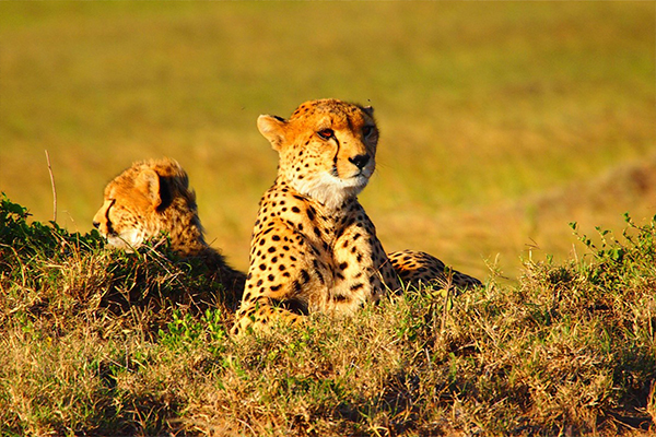 Serengeti National Park