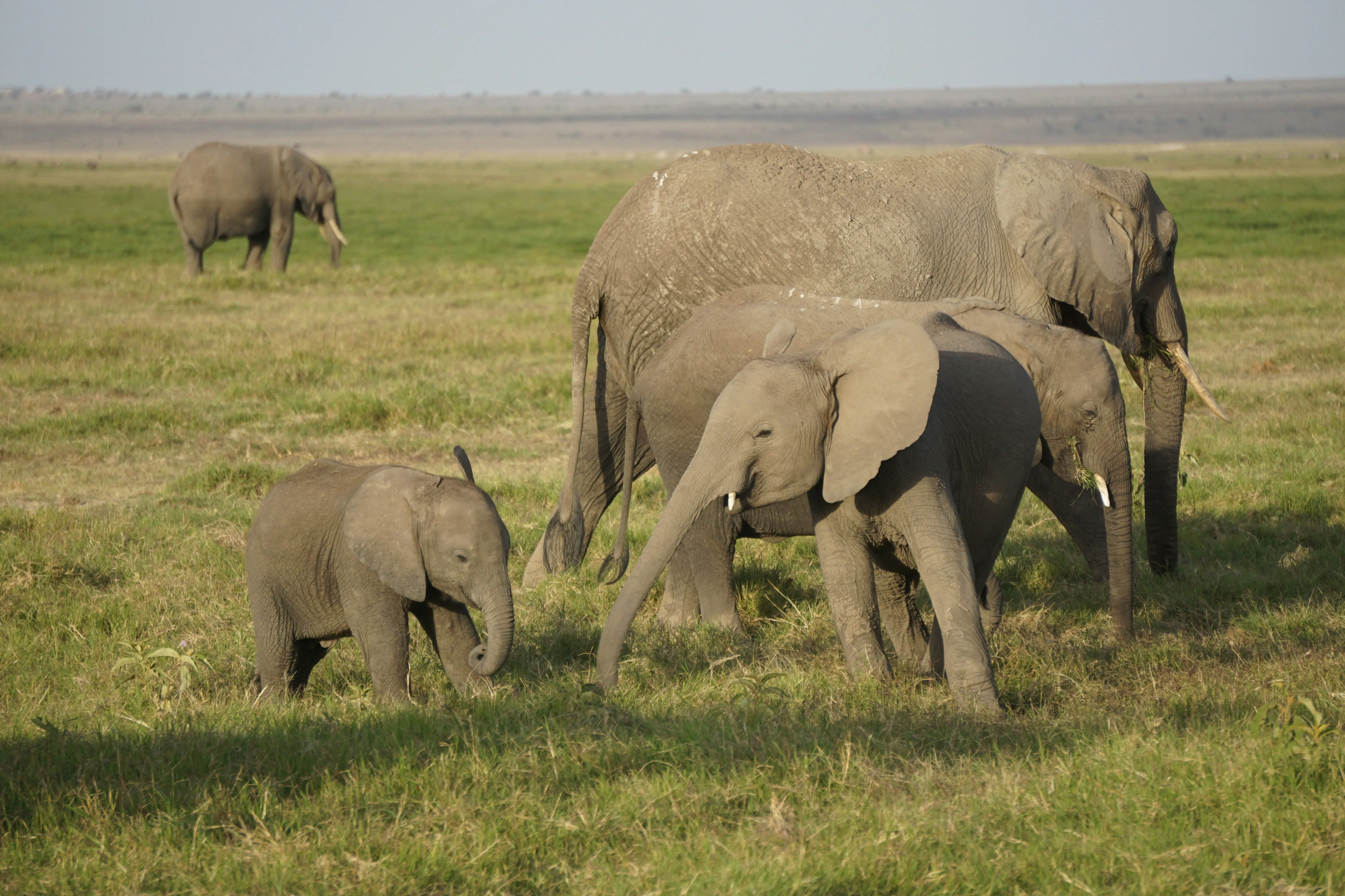 8 Days Tanzania Camping Safari