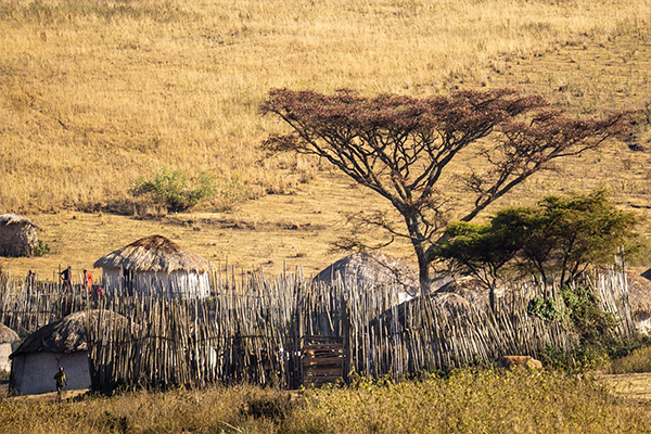 Yaeda Valley and Hadzabe People