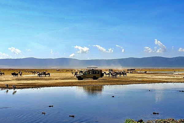 Tarangire National Park to Lake Manyara National Park
