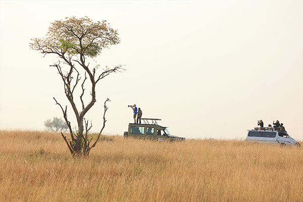 Mikumi National Park - Tanzania's Serengeti in Miniature