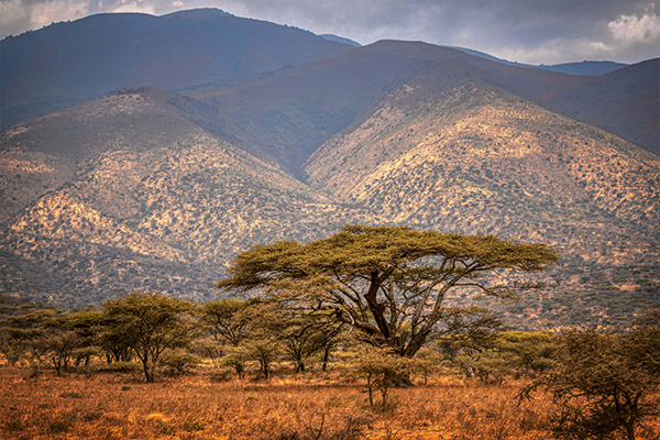 Ngorongoro Crater Tour to Arusha