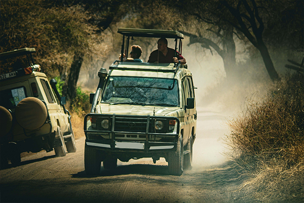 Serengeti National Park - Great Migration Safari